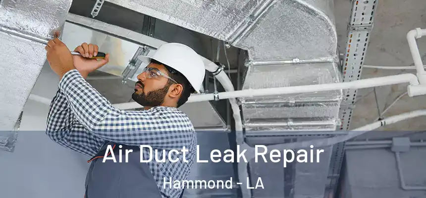  Air Duct Leak Repair Hammond - LA