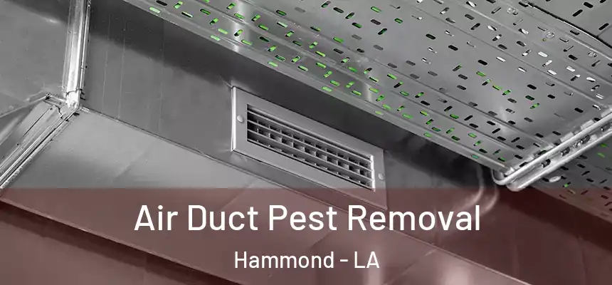  Air Duct Pest Removal Hammond - LA