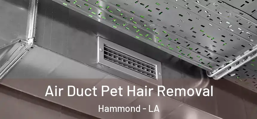  Air Duct Pet Hair Removal Hammond - LA
