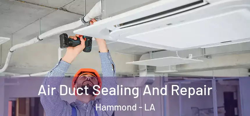  Air Duct Sealing And Repair Hammond - LA