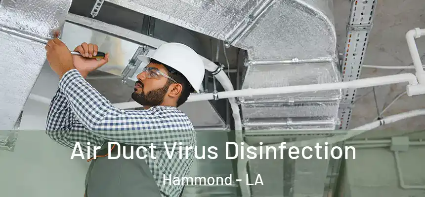  Air Duct Virus Disinfection Hammond - LA