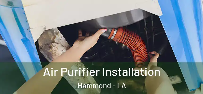  Air Purifier Installation Hammond - LA