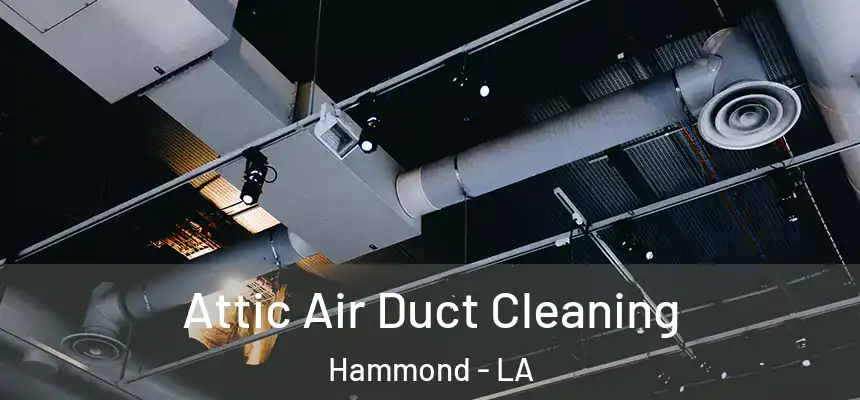  Attic Air Duct Cleaning Hammond - LA