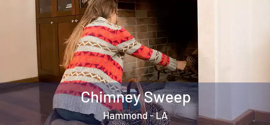  Chimney Sweep Hammond - LA