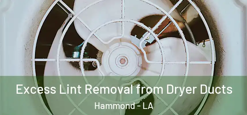  Excess Lint Removal from Dryer Ducts Hammond - LA
