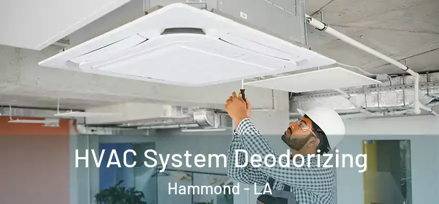  HVAC System Deodorizing Hammond - LA