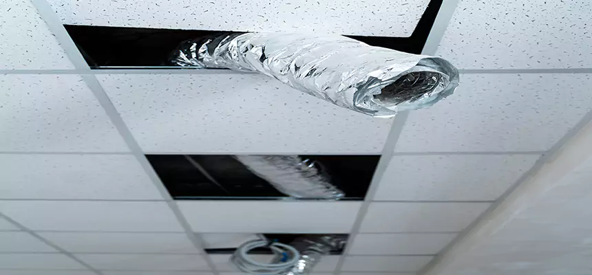 Our Air Duct Pet Hair Removal Services in Hammond, LA