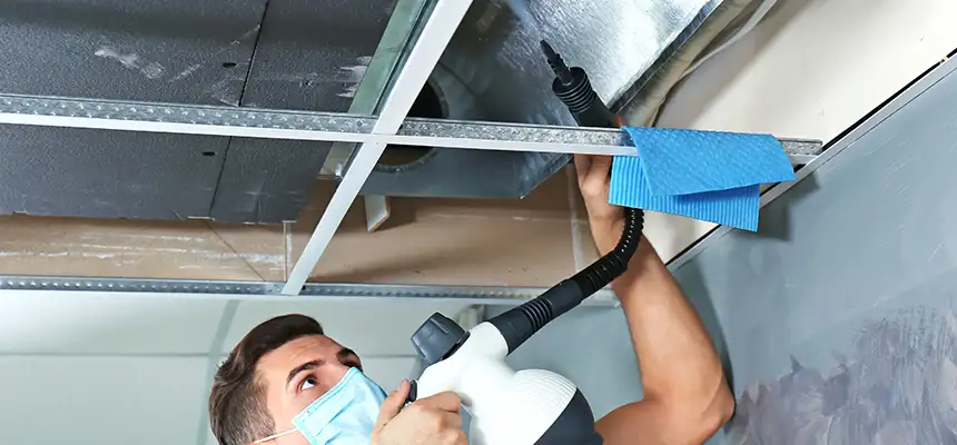 Our Air Duct Rodent Removal Services in Hammond, LA