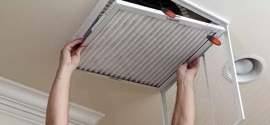 Our Insect Removal from Air Ducts Services in Hammond, LA