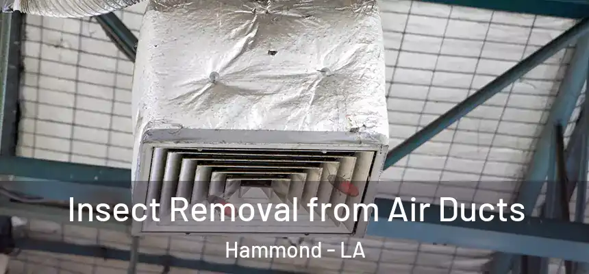  Insect Removal from Air Ducts Hammond - LA