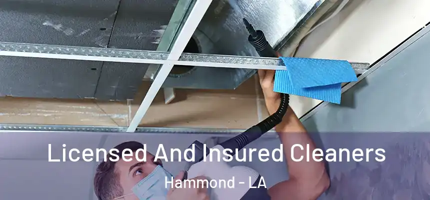  Licensed And Insured Cleaners Hammond - LA
