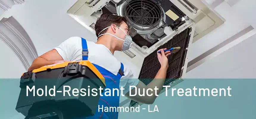  Mold-Resistant Duct Treatment Hammond - LA