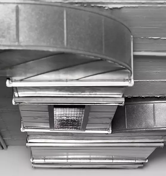 Professional Air Duct Pet Hair Removal in Hammond, LA