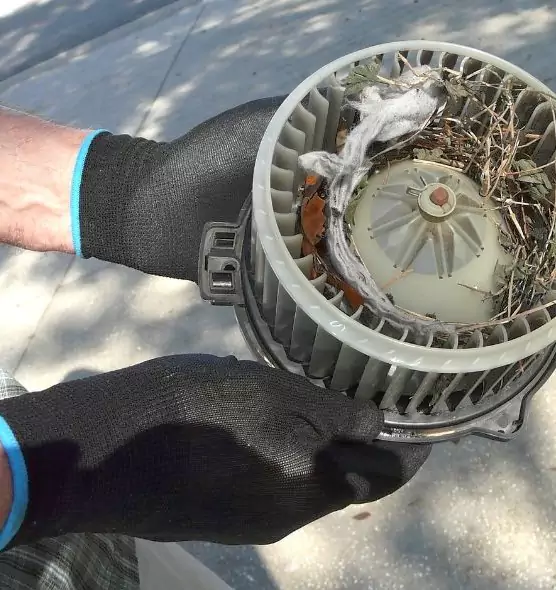 About Air Duct Rat Removal in Hammond, LA