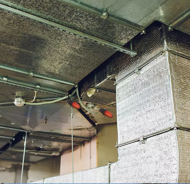 Why Homeowners & Businesses Trust Us in Hammond, LA?