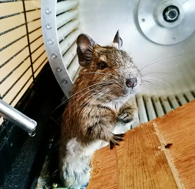 Why Homeowners & Businesses Trust Us Hammond, LA