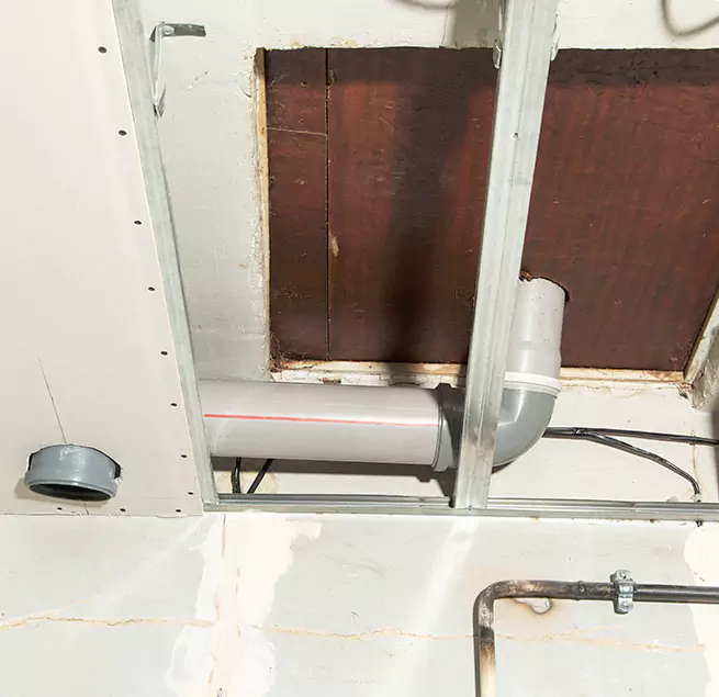 Why Homeowners & Businesses Trust Us in Hammond, LA?