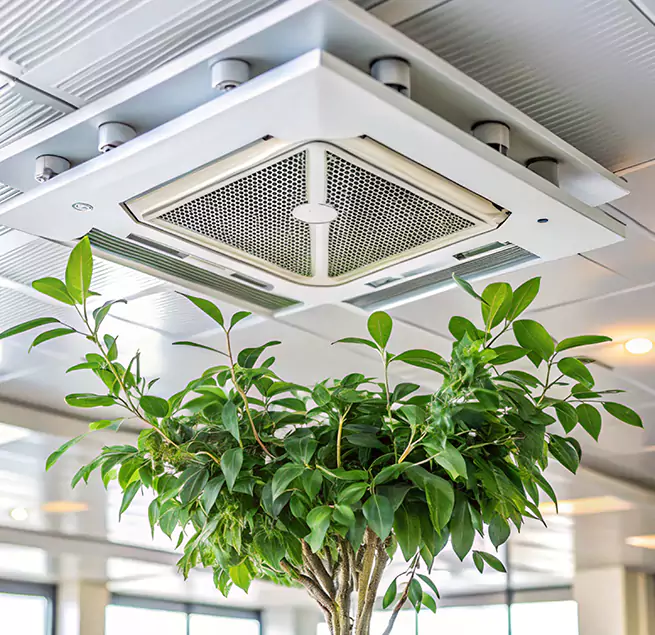 Why Homeowners & Businesses Trust Us in Hammond, LA?